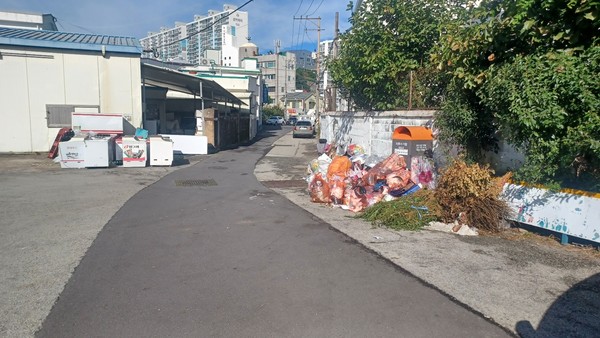 정량동 구 한전 건물 뒤편 도로변. 버려진 음식쓰레기에 거리로 나온 짐승들로 골머리를 앓고 있다.