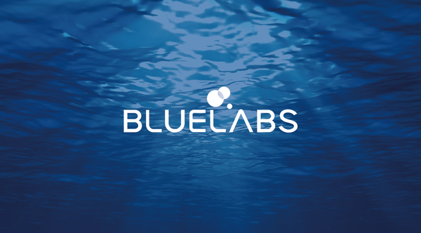 블루랩스는 최근 사회 이슈로 떠오른 대책 없는 굴 껍데기 처리 문제 해결과 동시에 산업적 활용 방안을 제시하며 주목받고 있다. 지난해 제14기 K-water 협력 스타트업, 삼성전자 C랩 Outside 5기에 선정되기도 했다.