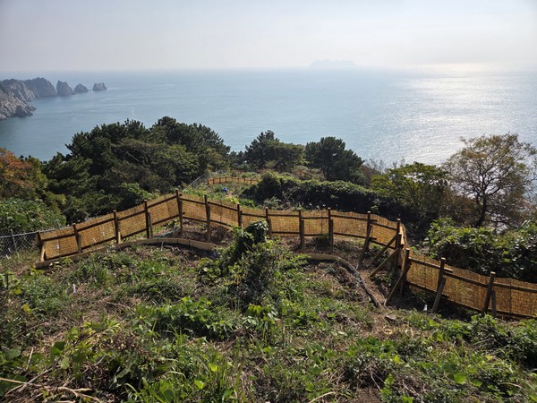 통영 연화도, 섬 숲 경관복원과 생태탐방로 정비…관광섬 재탄생 < 자치/행정 < 기사본문 - 한산신문